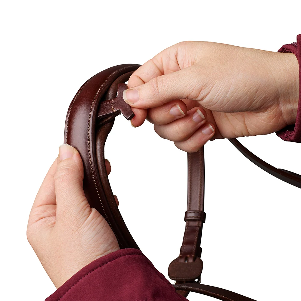 Arena Comfort Bridle - Image 5