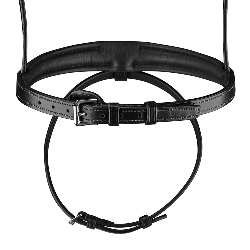 Arena Comfort Bridle - Image 6