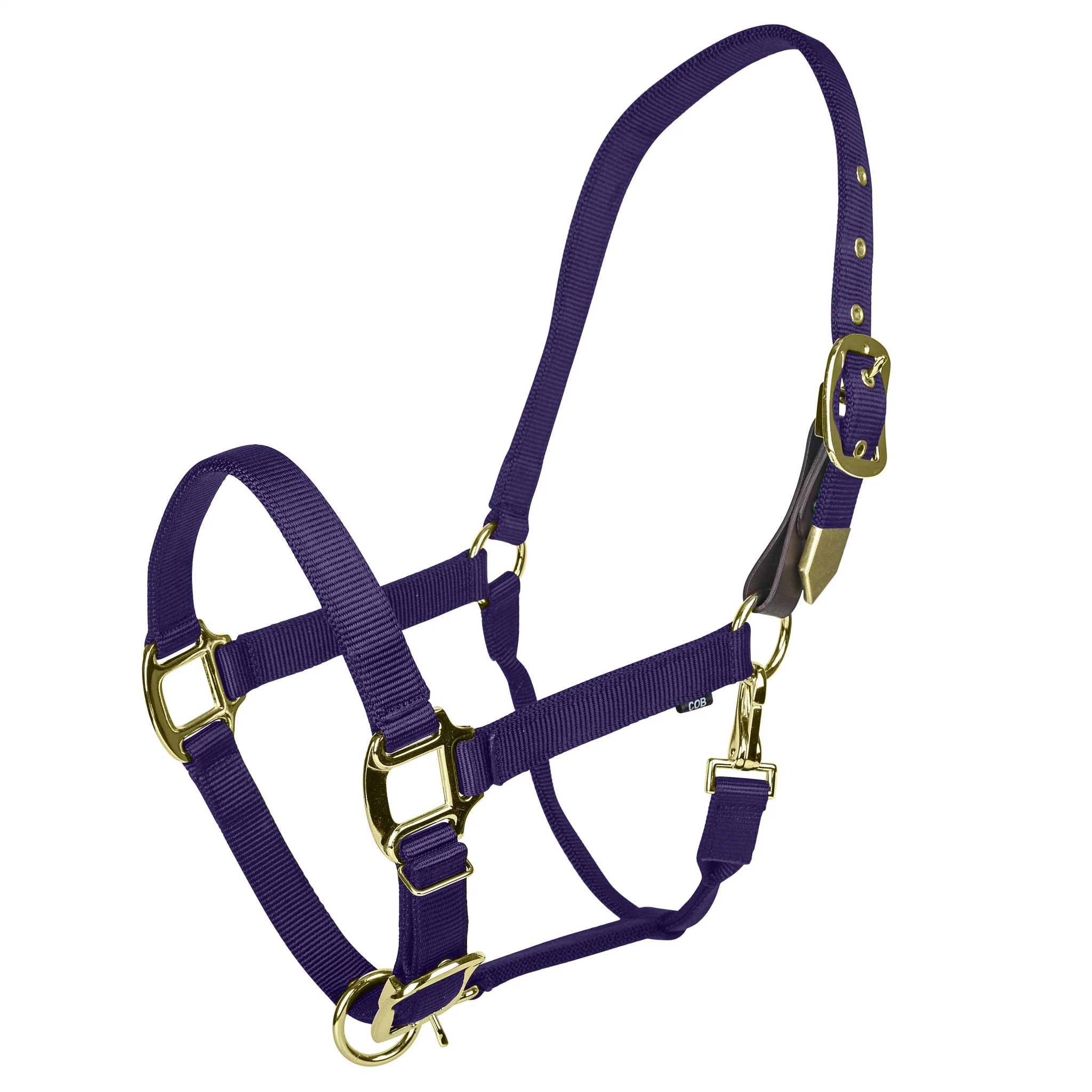 Gatsby Gold Personalized Adjustable Nylon Halter with Snap - Image 7