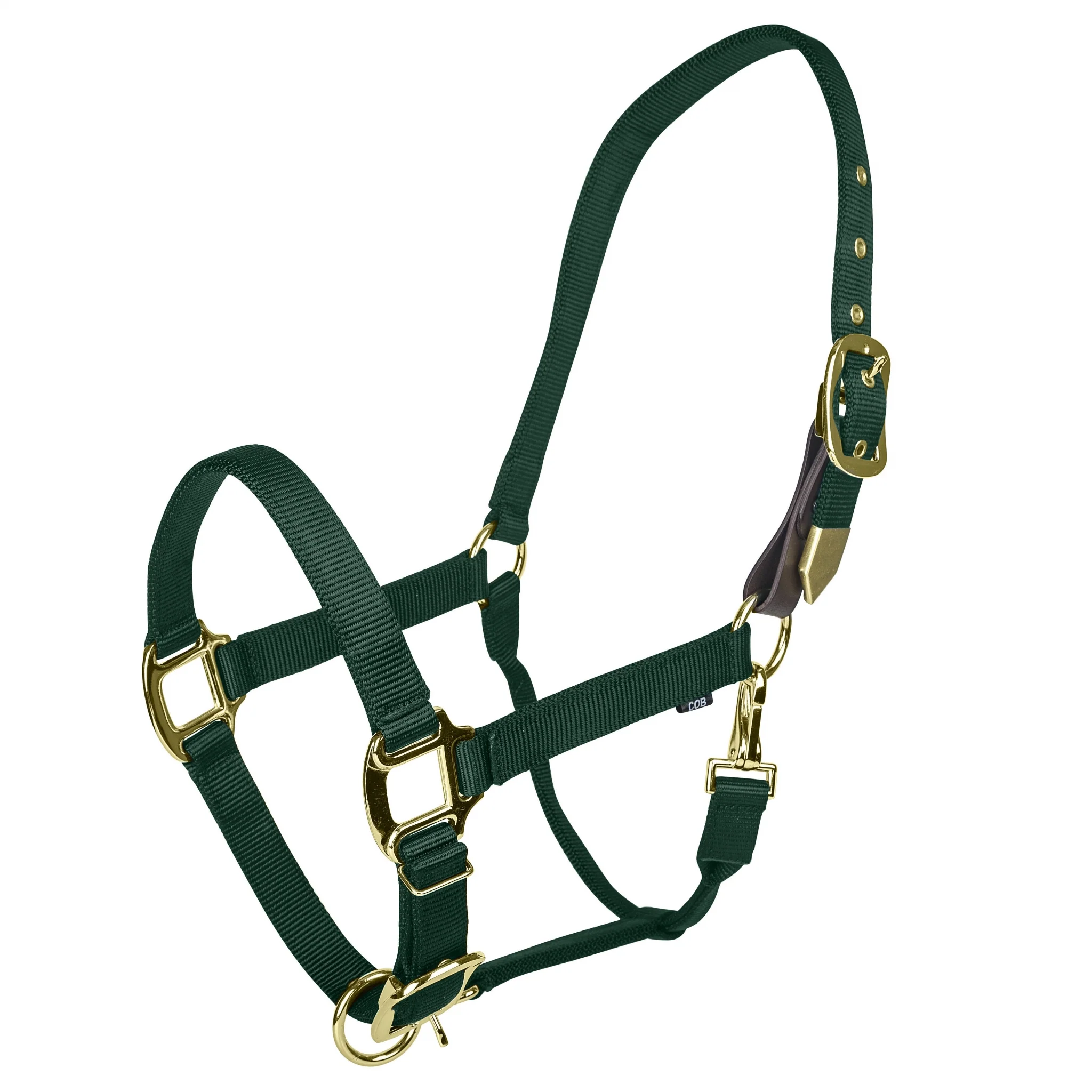 Gatsby Gold Personalized Adjustable Nylon Halter with Snap - Image 8
