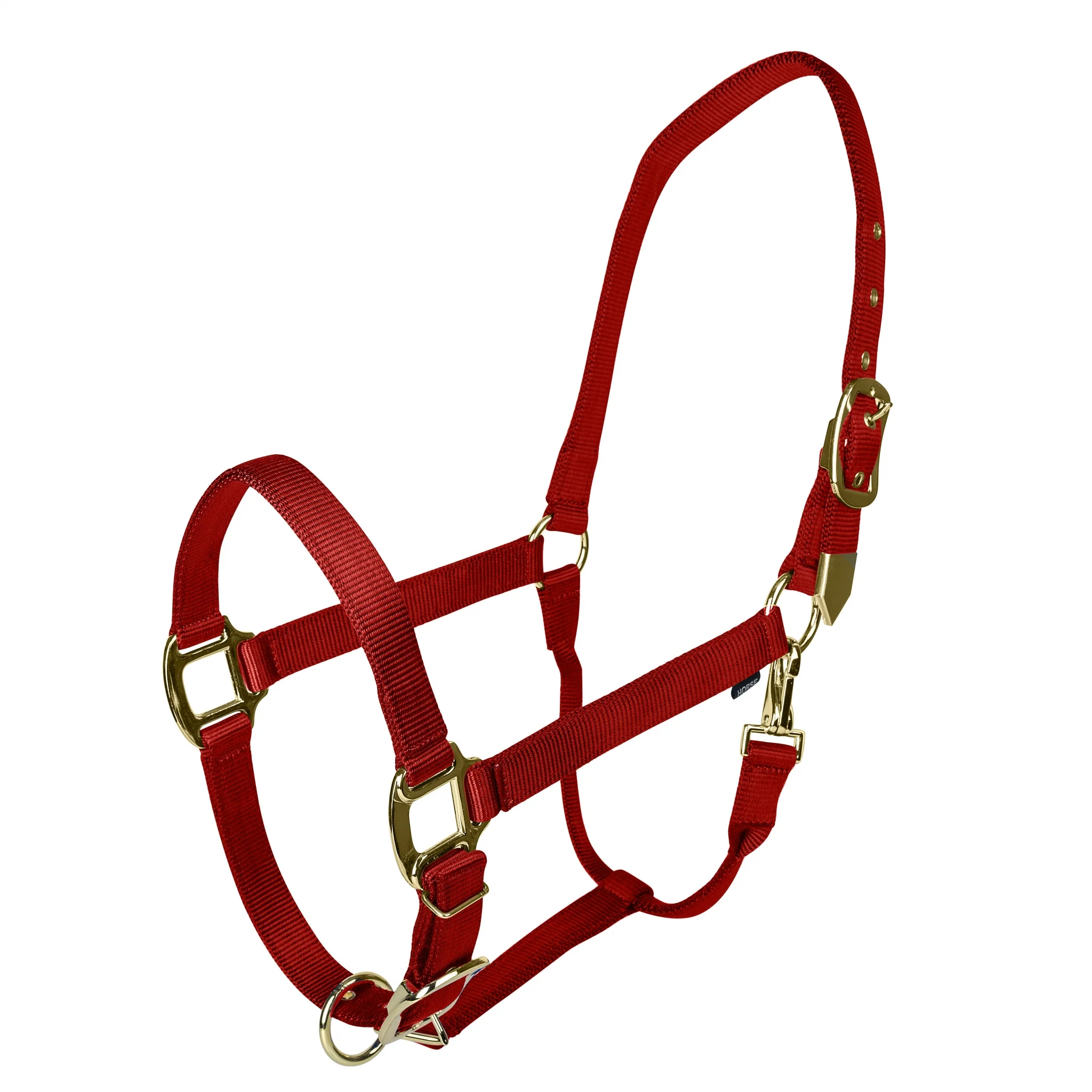 Gatsby Gold Personalized Adjustable Nylon Halter with Snap - Image 5