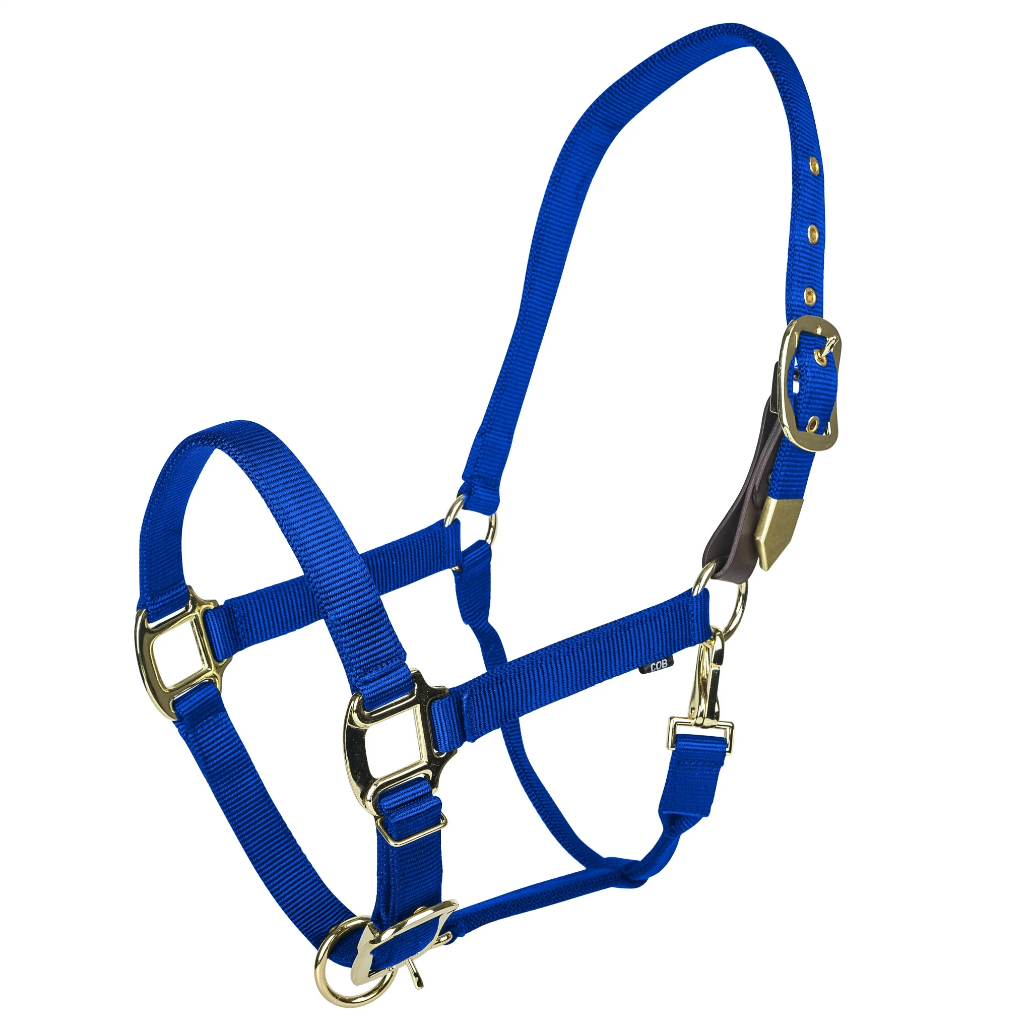Gatsby Gold Personalized Adjustable Nylon Halter with Snap - Image 3