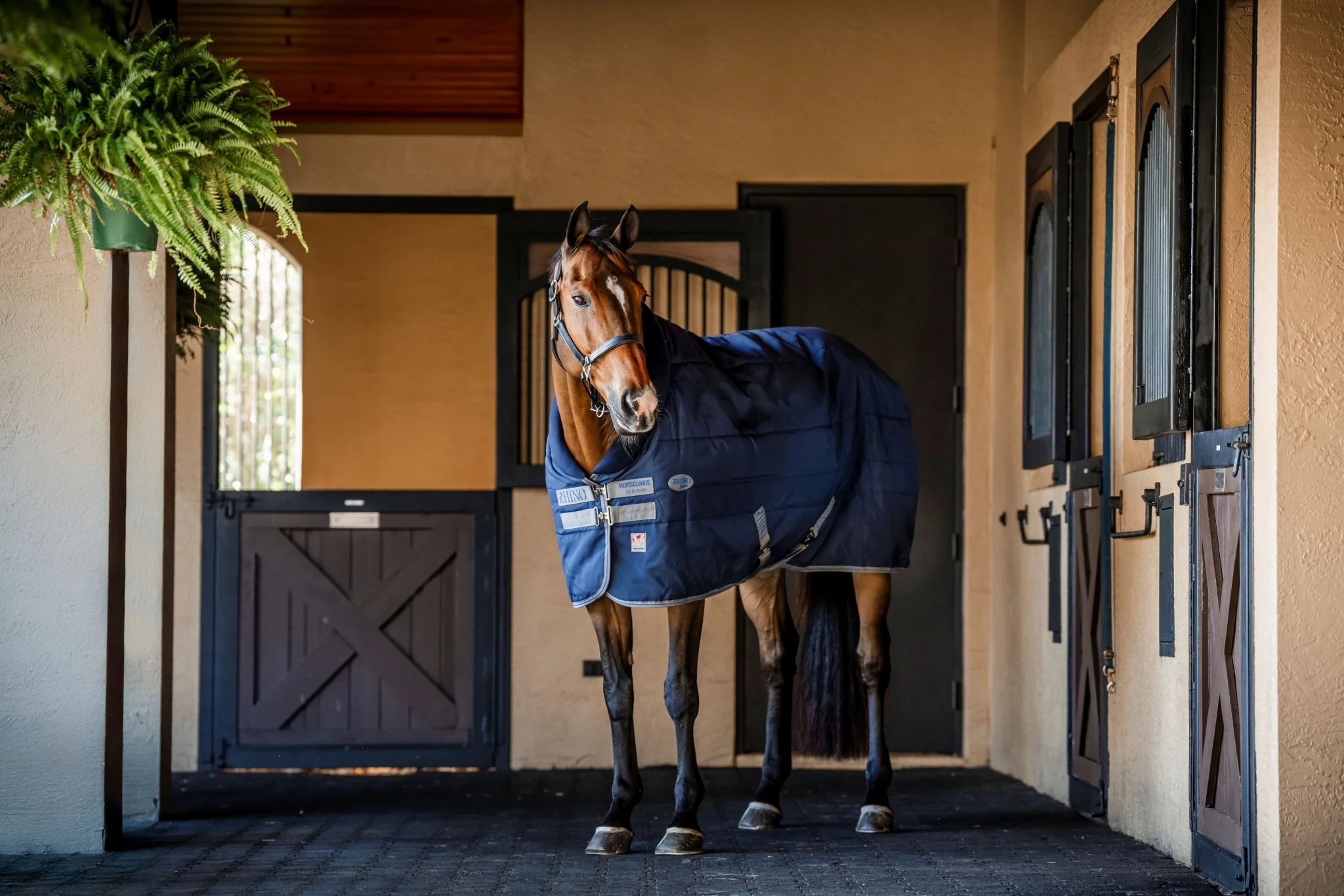 Rhino Stable 350g VL - Image 3