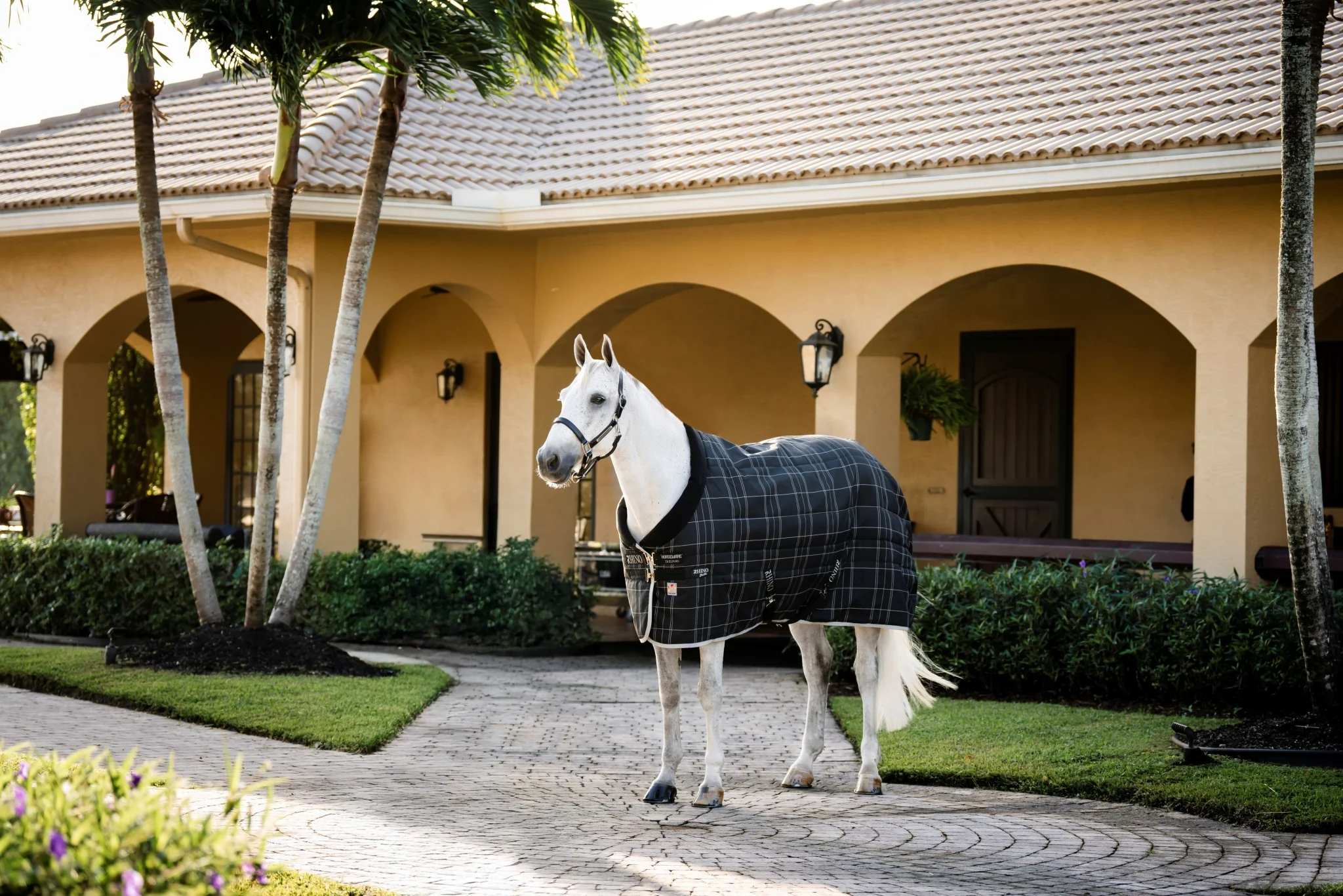 Rhino Stable 350g VL - Image 4