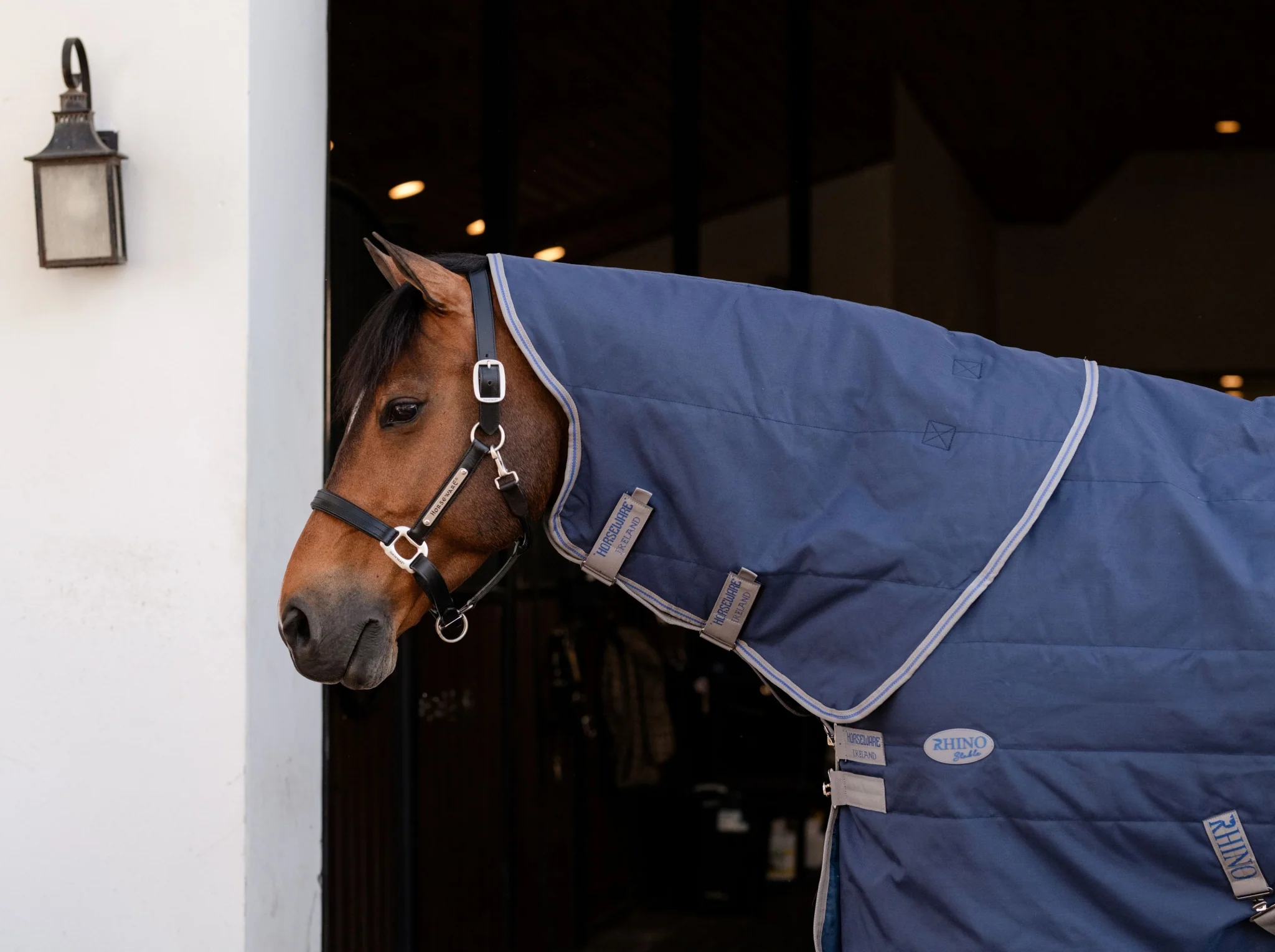 Rhino Stable Hood 100g - Image 3