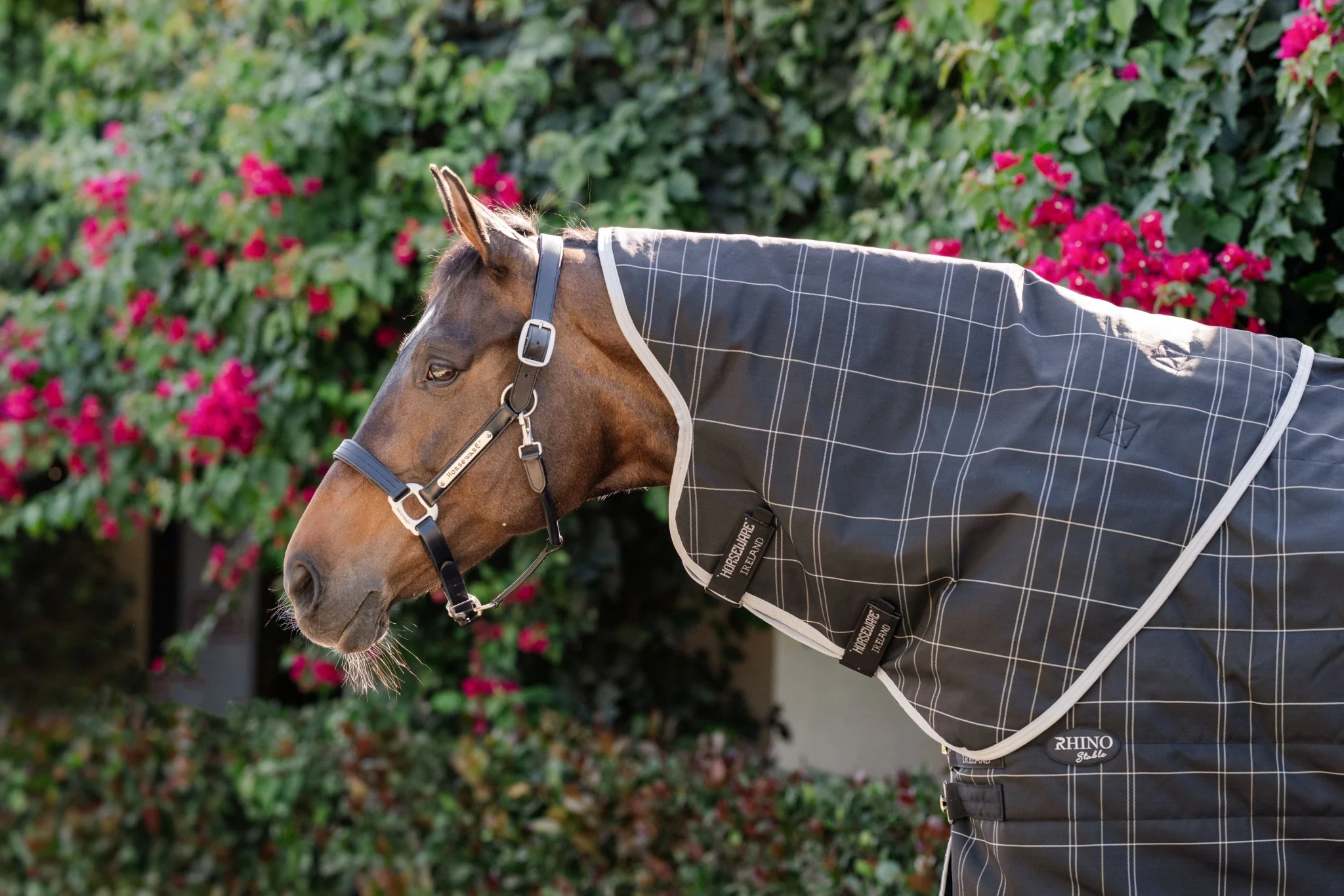 Rhino Stable Hood 100g - Image 4