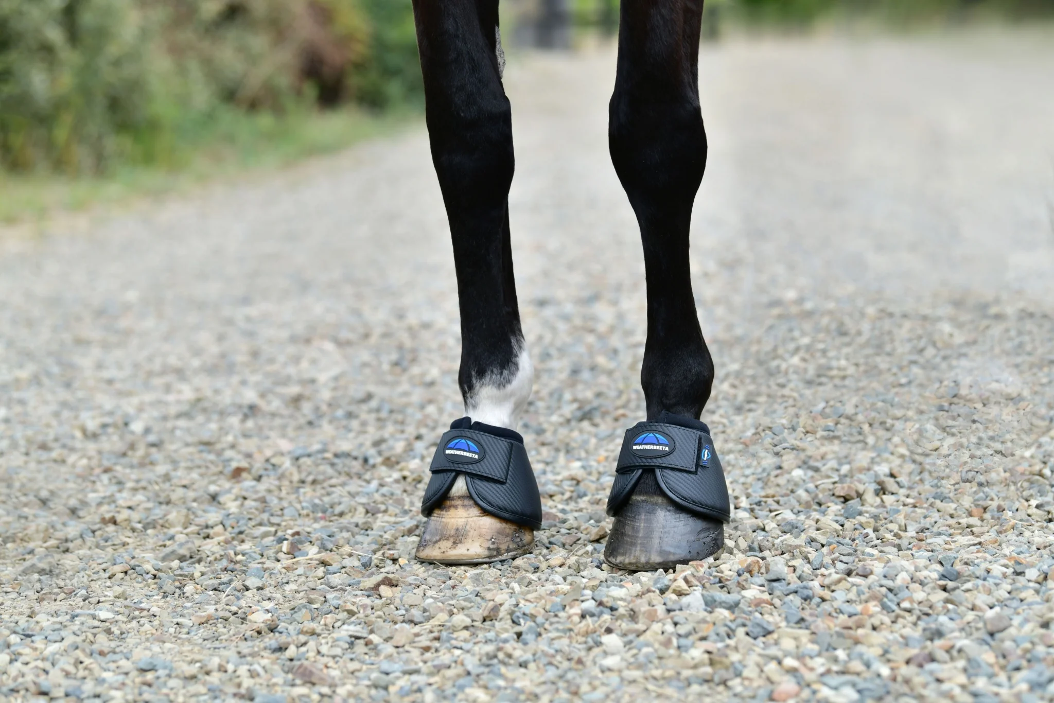 Weatherbeeta Tough-Tec Anatomical Bell Boots - Image 8